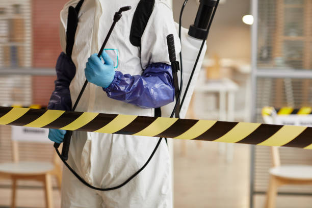 Professional Hoarding Cleanup technician working in Pahoa, HI